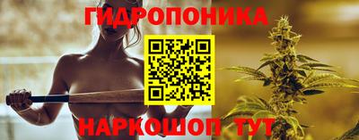 дживик Новозыбков