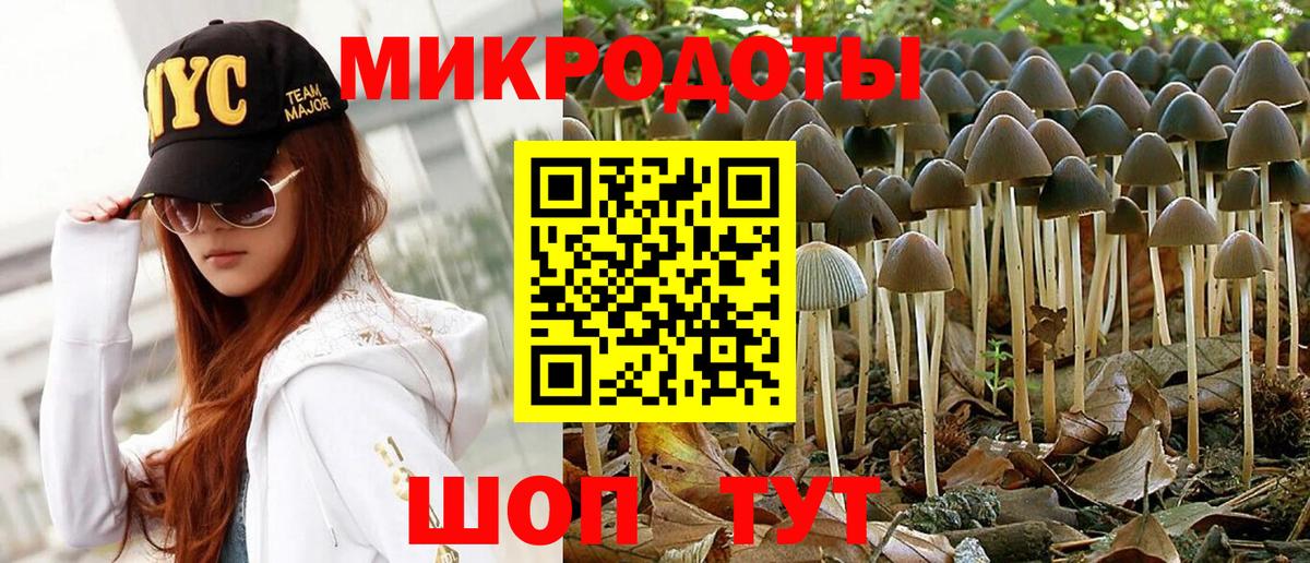 Северобайкальск  Галлюциногенные грибы MAGIC MUSHROOMS  Псилоцибиновые грибы прущие грибы  Вход с VPN 