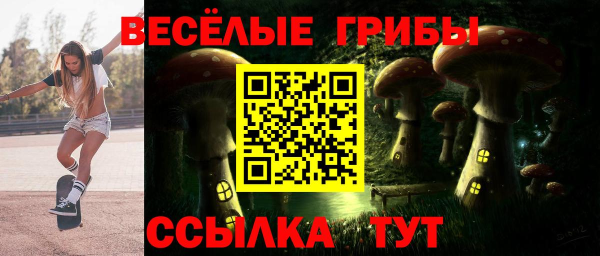 Галлюциногенные грибы прущие грибы Северобайкальск